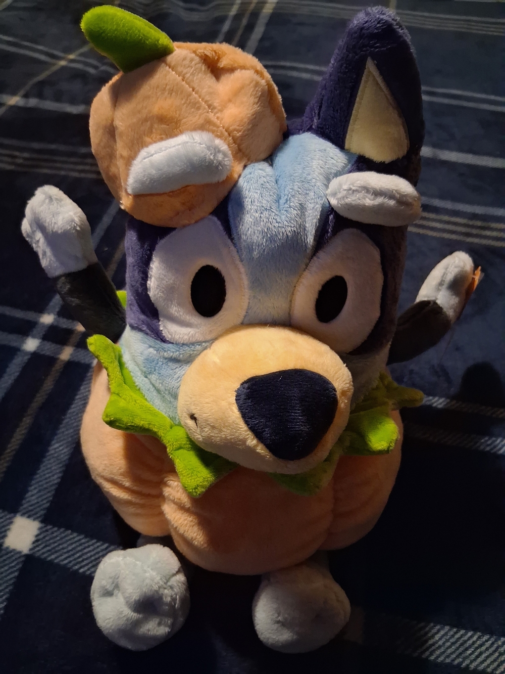 Bluey Halloween Pumpkin Plush (Price Is Firm)